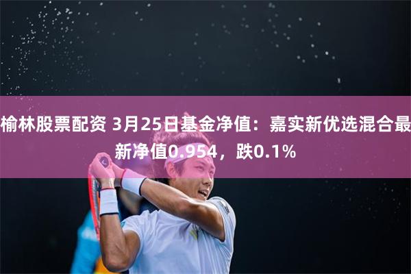 榆林股票配资 3月25日基金净值:嘉实新优选混合最新净值0.954,跌0.1%