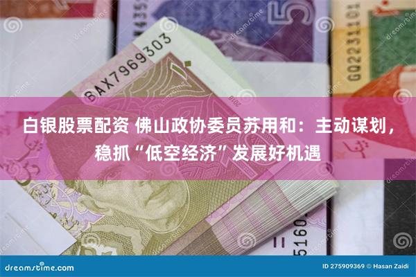 白银股票配资 佛山政协委员苏用和：主动谋划，稳抓“低空经济”发展好机遇