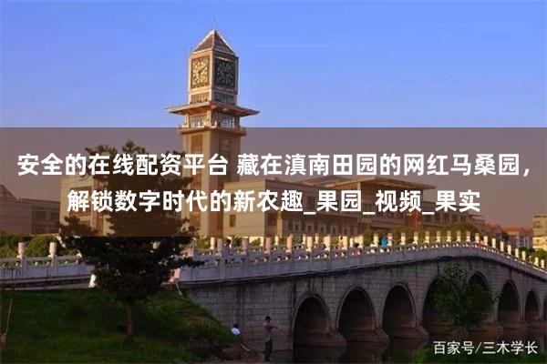 安全的在线配资平台 藏在滇南田园的网红马桑园，解锁数字时代的新农趣_果园_视频_果实