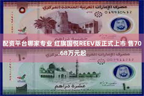配资平台哪家专业 红旗国悦REEV版正式上市 售70.68万元起