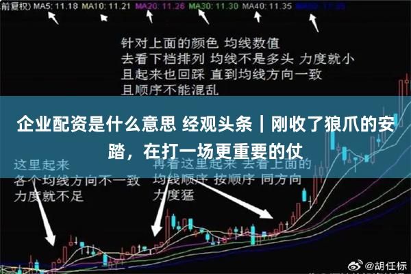 企业配资是什么意思 经观头条｜刚收了狼爪的安踏，在打一场更重要的仗