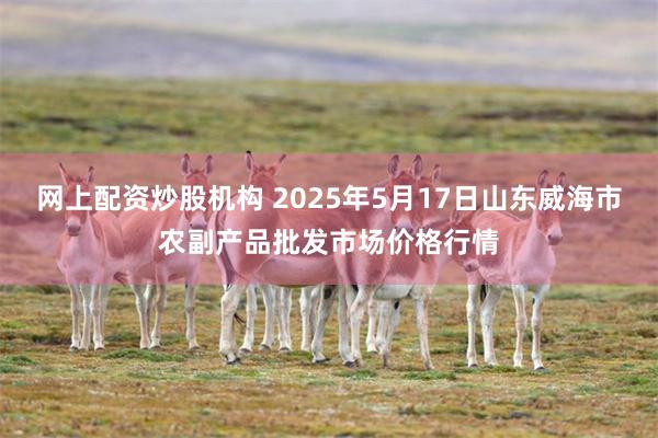 网上配资炒股机构 2025年5月17日山东威海市农副产品批发市场价格行情