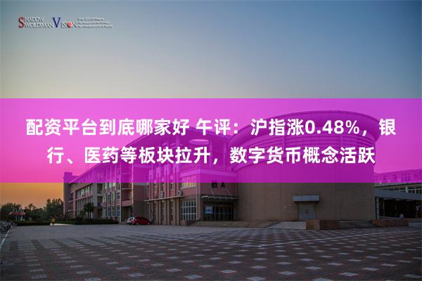 配资平台到底哪家好 午评:沪指涨0.48%,银行、医药等板块拉升,数字货币概念活跃
