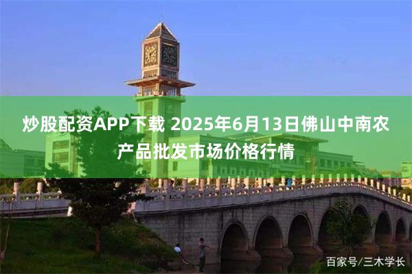 炒股配资APP下载 2025年6月13日佛山中南农产品批发市场价格行情