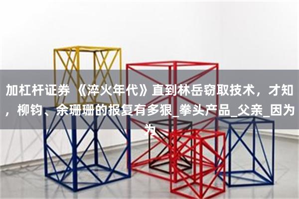 加杠杆证券 《淬火年代》直到林岳窃取技术，才知，柳钧、余珊珊的报复有多狠_拳头产品_父亲_因为