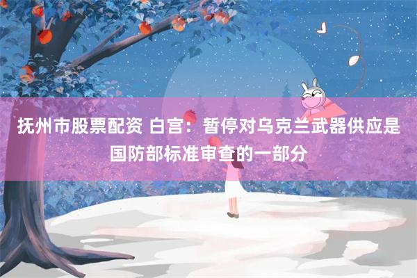 抚州市股票配资 白宫：暂停对乌克兰武器供应是国防部标准审查的一部分