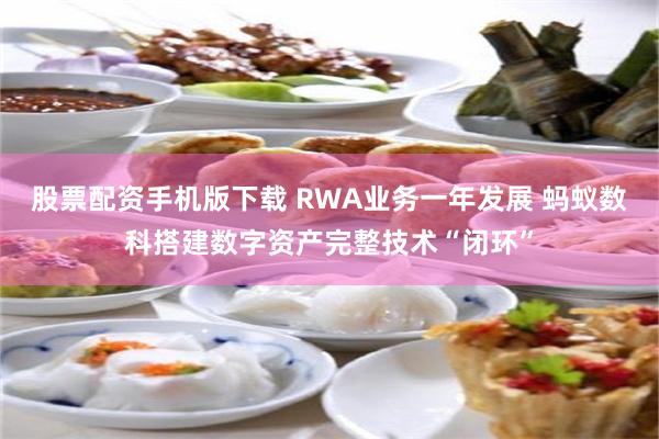 股票配资手机版下载 RWA业务一年发展 蚂蚁数科搭建数字资产完整技术“闭环”