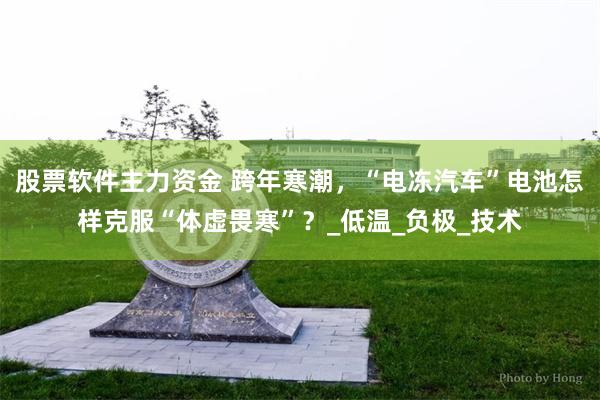 股票软件主力资金 跨年寒潮，“电冻汽车”电池怎样克服“体虚畏寒”？_低温_负极_技术