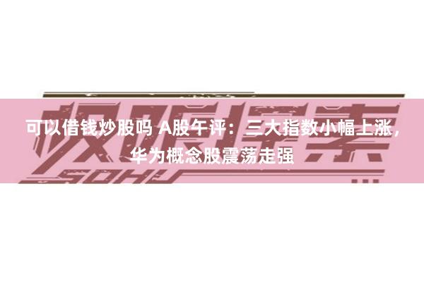 可以借钱炒股吗 A股午评:三大指数小幅上涨,华为概念股震荡走强