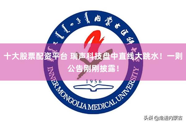 十大股票配资平台 瑞声科技盘中直线大跳水！一则公告刚刚披露！
