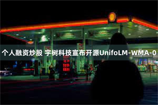 个人融资炒股 宇树科技宣布开源UnifoLM-WMA-0